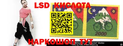 прущие грибы Кингисепп