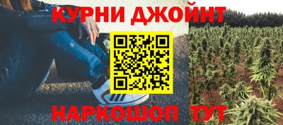 дмт Кинель