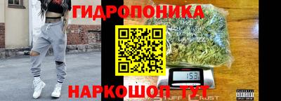 гидра Кимры