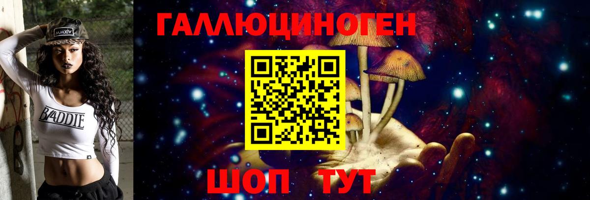 Псилоцибиновые грибы GOLDEN TEACHER Балашов